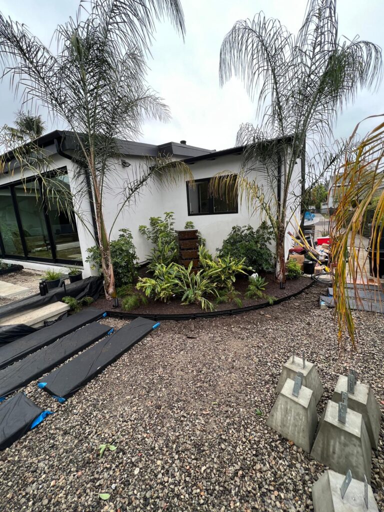 IMG-20251103-WA0036